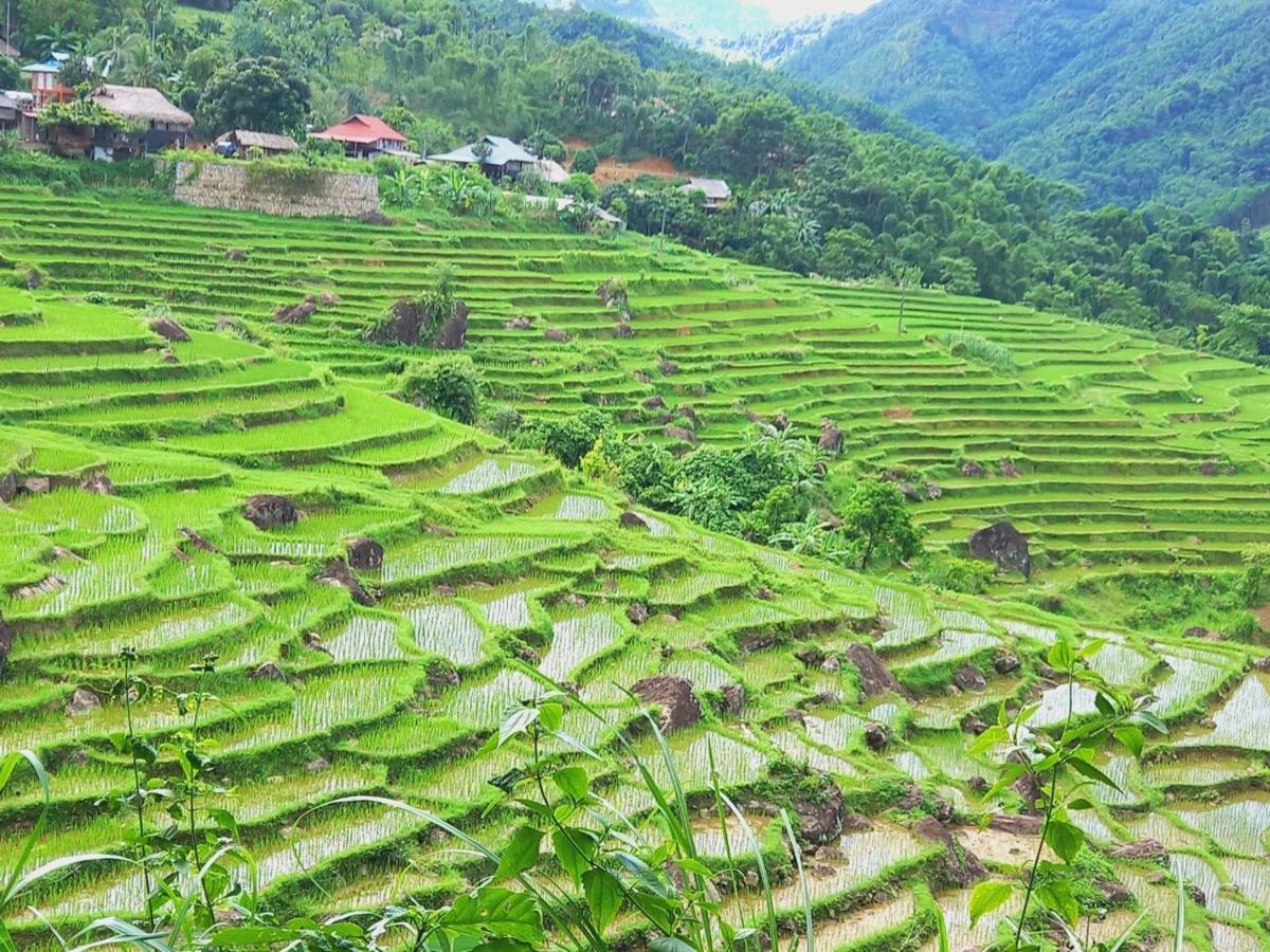 Tan Homestay Mai Châu Luaran gambar