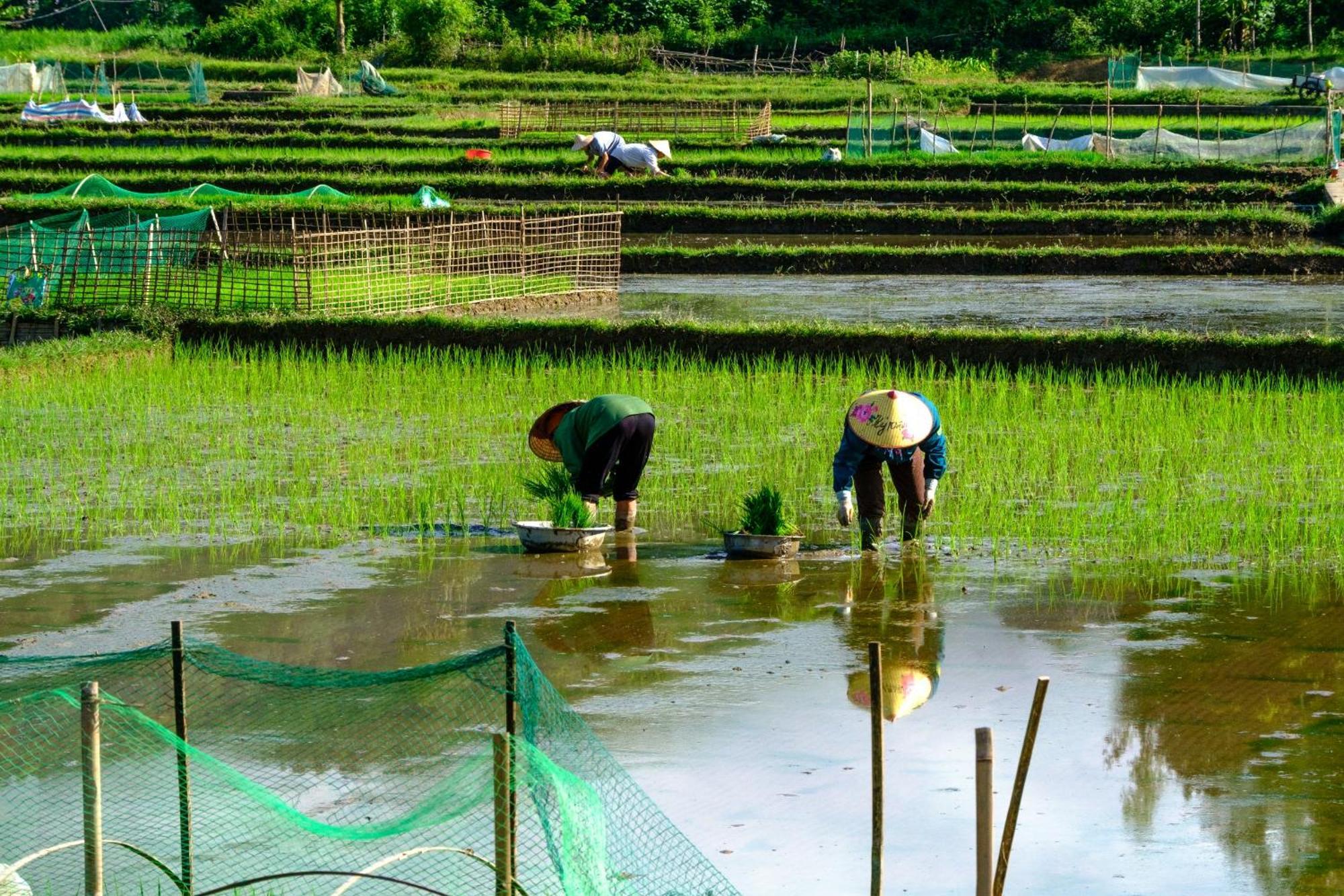 Tan Homestay Mai Châu Luaran gambar